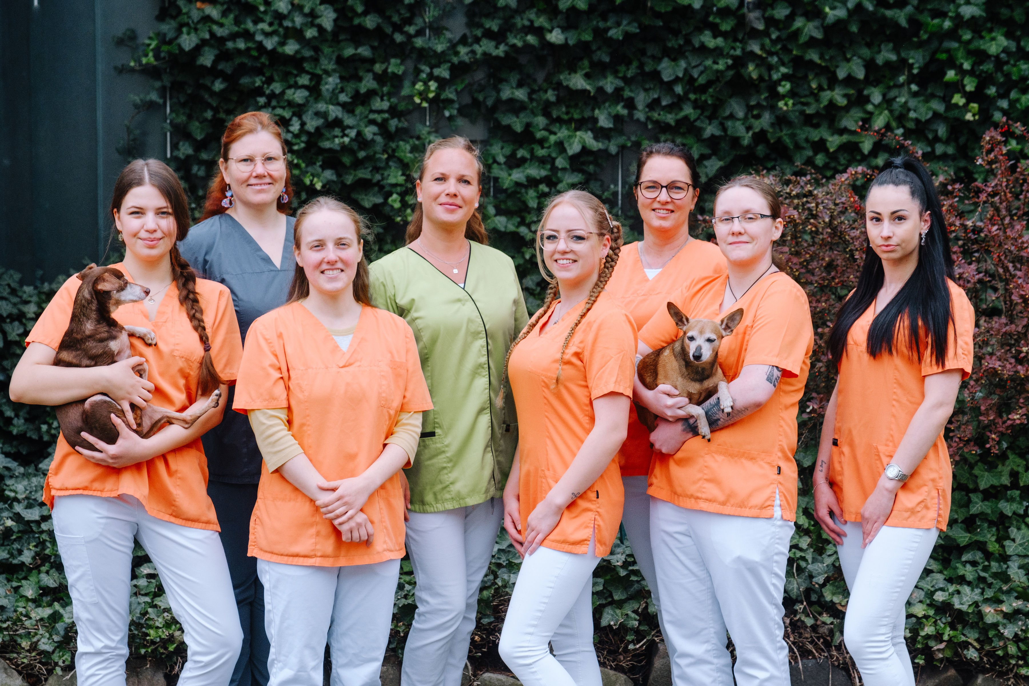 Unser Team als Gruppenbild